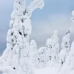 Huoneisto Rovakatu Rovaniemi