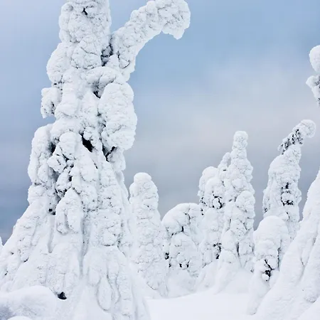 شقة Centre Studio, Free Parking By Lapland Host روفانييمي
