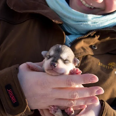 Lejlighed Rovakatu *