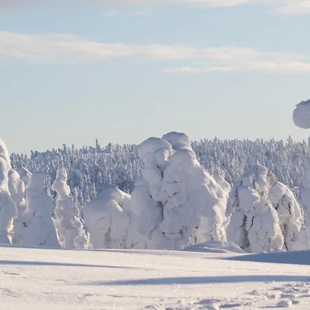 Centre Studio, Free Parking By Lapland Host *