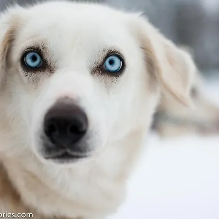 Lejlighed Rovakatu *