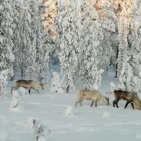 Centre Studio, Free Parking By Lapland Host * روفانييمي