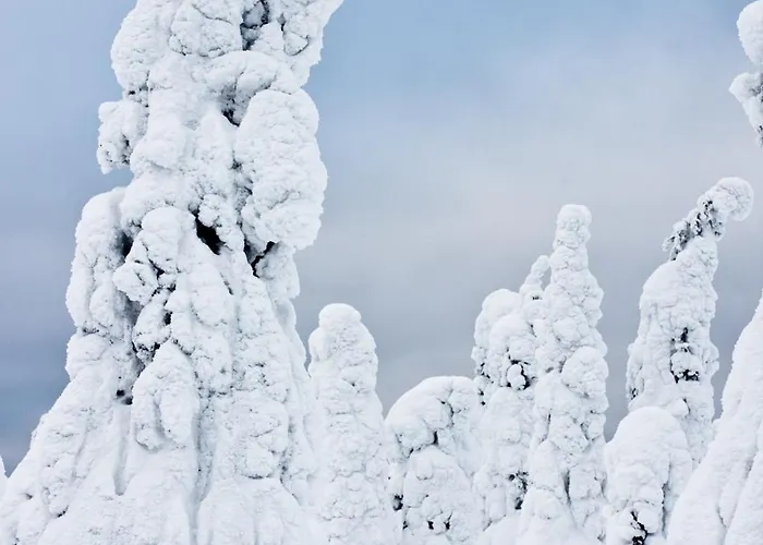 Daire Rovakatu Rovaniemi